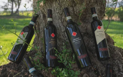 Guida alla scelta del vino