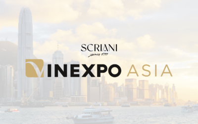 Vinexpo Asia Hong Kong 2026: ancora una volta, ci saremo!